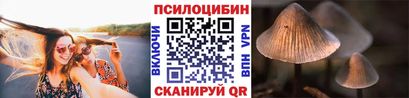 купить закладку  Брянск  Галлюциногенные грибы ЛСД 