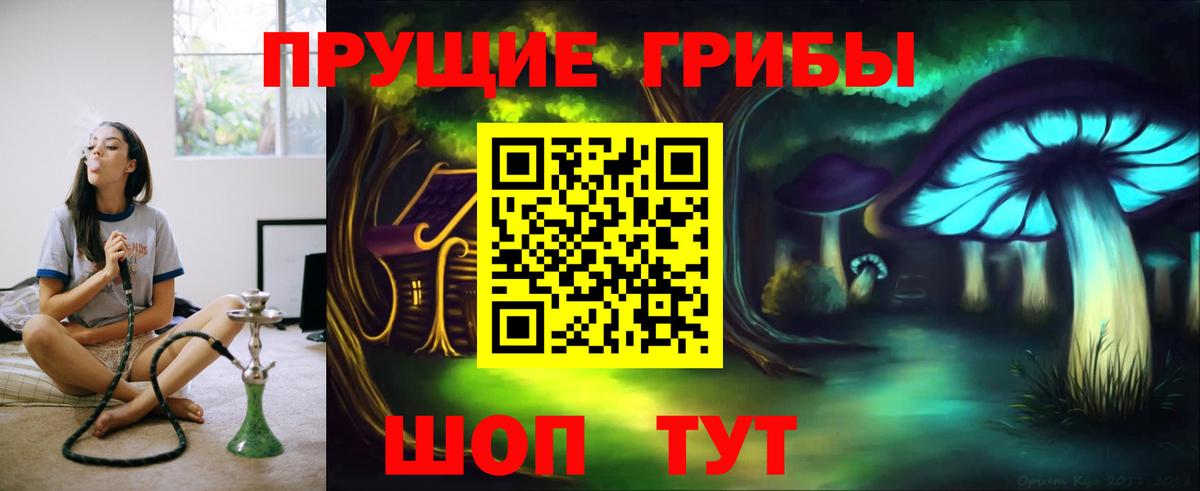 Брянск  Галлюциногенные грибы мухоморы  наркотики  Вход с VPN 